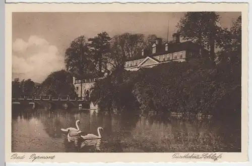 (9687) AK Bad Pyrmont, Schloss, vor 1945