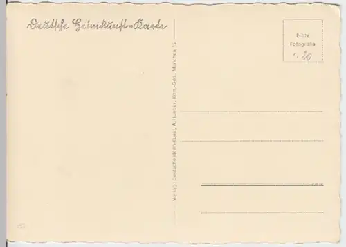 (9401) Foto AK Krokuswiese im Gebirge, vor 1945