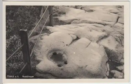 (9361) Foto AK Thale, Harz, Roßtrappe, vor 1945