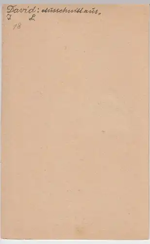 (9174) Künstler AK David, Verteilung der Adler durch Napoleon, vor 1945