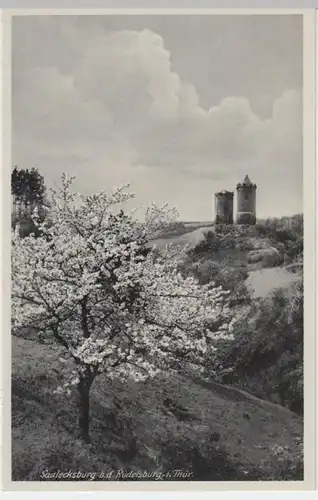 (9116) AK Naumburg, Saale, Burg Saaleck, vor 1945