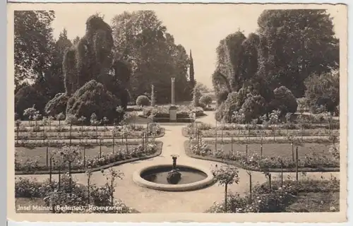 (8773) Foto AK Konstanz, Insel Mainau, Rosengarten 1942