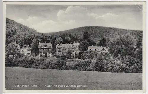 (8733) AK Ilsenburg, Harz, Villen Buchbergstr., 1938
