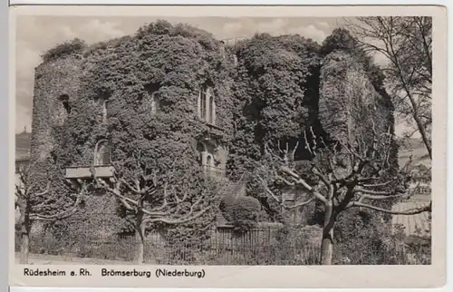 (8702) Foto AK Rüdesheim am Rhein, Brömserburg, Niederburg, vor 1945