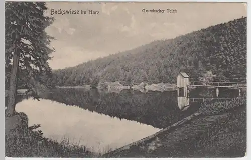 (8697) AK Bockswiese, Harz, Grumbacher Teich 1910