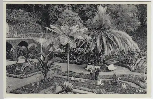 (8288) AK Madeira, Belmonte Hotel, Garten, vor 1945