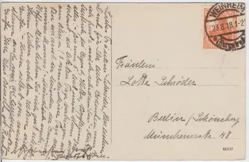 (8219) AK Heidelberg, Schlosshof 1918