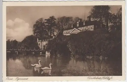 (8214) AK Bad Pyrmont, Schloss, vor 1945
