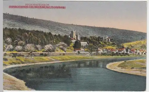 (8210) AK Neckarsteinach, Panorama, Mi-Nr. 183, 1922