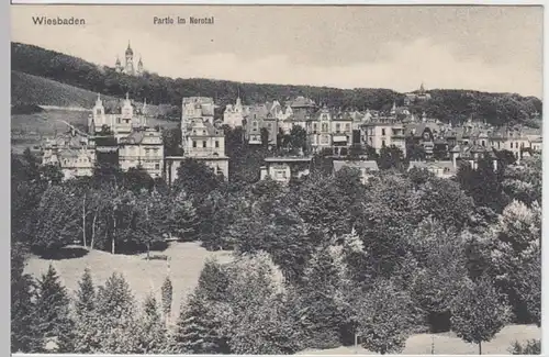 (8014) AK Wiesbaden, Nerotal 1910