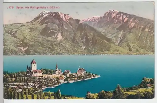 (7965) AK Spiez, Panorama, Ralligstöcke, vor 1945