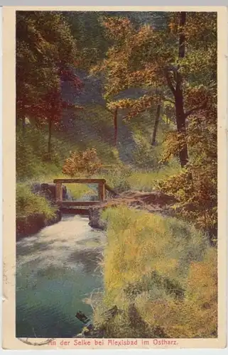 (7775) AK Alexisbad, Selke, Mi-Nr. 169, 1922