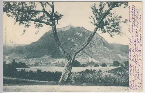 (7695) AK Königswinter, Burg Drachenfels 1901