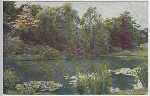 (7467) AK Wiesbaden, Teich, Nero Tal 1912