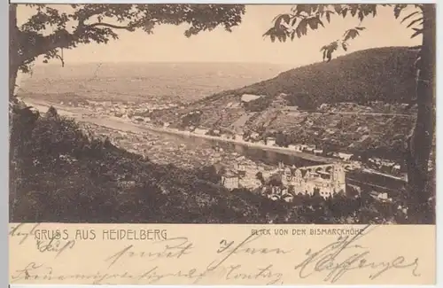 (7376) AK Gruß aus Heidelberg, Panorama 1904
