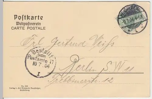 (7376) AK Gruß aus Heidelberg, Panorama 1904