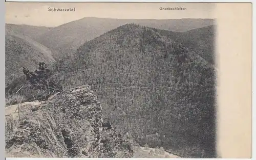 (7306) AK Griesbachfelsen, Th. Wald, Schwarzatal 1909