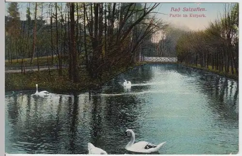 (7173) AK Bad Salzuflen, Kurpark 1912