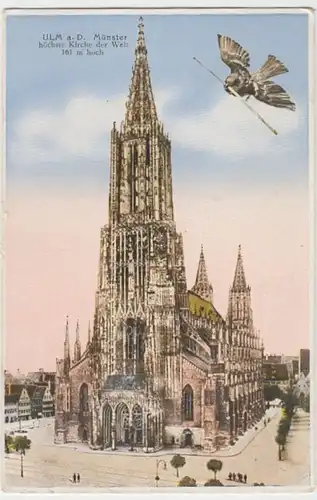 (7022) AK Ulm, Münster 1928