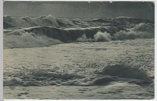 (7006) AK Sylt, Nordsee, vor 1945