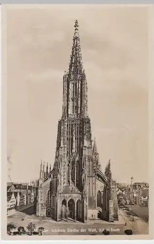 (6973) Foto AK Ulm, Münster, vor 1945