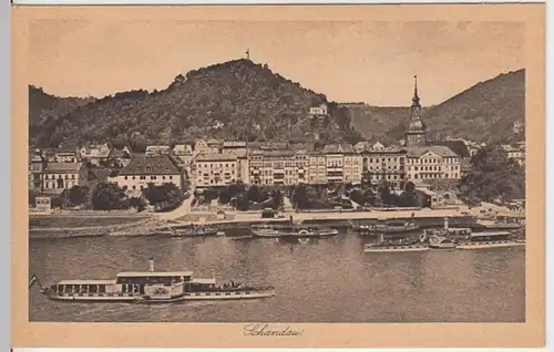 (6855) AK Bad Schandau, Raddampfer, Elbe, Ortsansicht, vor 1945