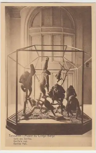 (6760) AK Tervueren, Musee du Congo Belge 1910er