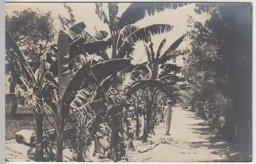 (6719) Foto AK Swakopmund, Farm Granikondes, Plantage, vor 1945