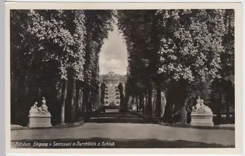 (6626) Foto AK Potsdam, Sanssouci, Eingang, Schlossblick, vor 1945