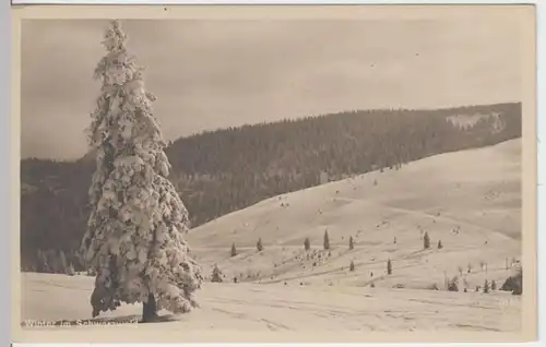 (6589) AK Schwarzwald, Winter 1919
