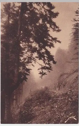 (6463) AK Luchon-Superbagneres, Wald, Eisenbahn, vor 1945