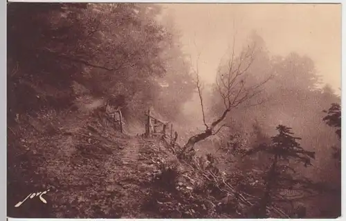 (6460) AK Luchon-Superbagneres, Wald, vor 1945