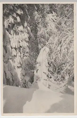 (6422) AK Feldberg, Schwarzwald, Winterwald 1914