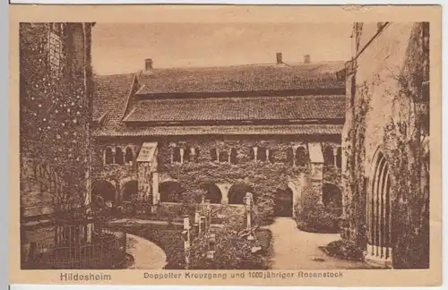 (6339) AK Hildesheim, Dom, Kreuzgang, Rosenstock 1922