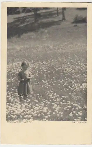 (6292) AK Mädchen, Margeritenwiese 1937