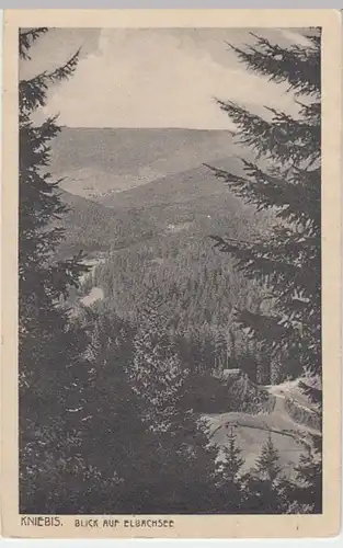 (6250) AK Kniebis, Freudenstadt, Elbachsee 1925