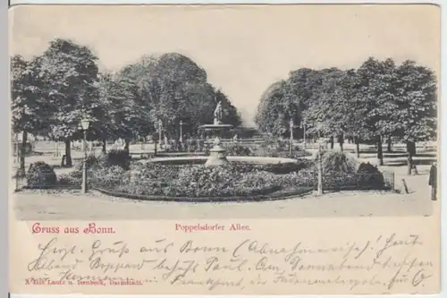 (3261) AK Gruß aus Bonn, Poppelsdorfer Allee 1903