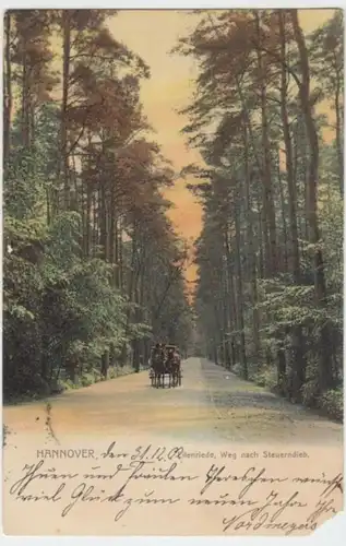 (3251) AK Hannover, Eilenriede, Weg nach Steuerndieb 1902