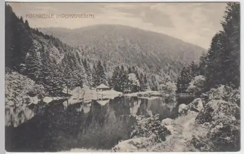 (3206) AK Metzeral, Matzeral, Elsass, See Fischboedle, Feldpost 1915