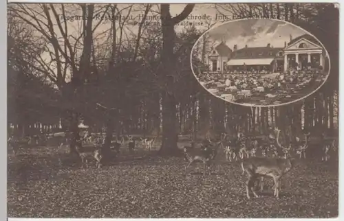 (3120) AK Hannover, Kirchrode, Tiergarten Restaurant, vor 1945