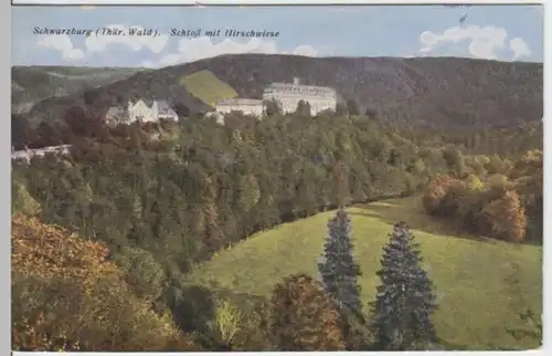 (3065) AK Schwarzburg, Schloss, Hirschwiese 1953