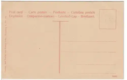 (2922) AK Hamburg, Carl Hagenbecks Tierpark, Raubtierschlucht um 1910