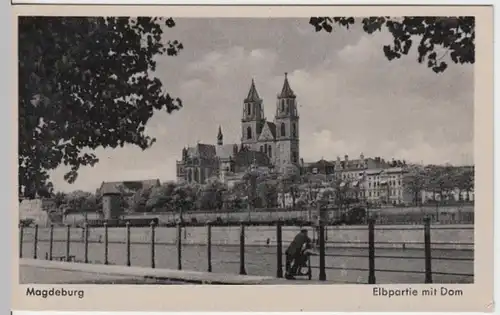 (5877) AK Magdeburg, Elbe, Dom 1951