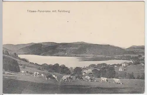 (5614) AK Titisee, Schwarzwald, Feldberg, vor 1945