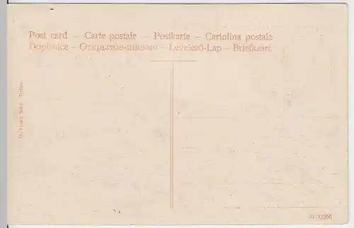 (5614) AK Titisee, Schwarzwald, Feldberg, vor 1945