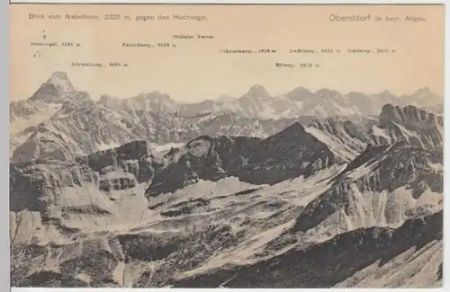 (5541) AK Hochvogel, Blick vom Nebelhorn 1910