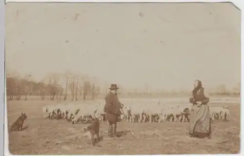 (5311) AK Schäfer mit Herde 1944