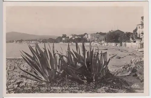 (5219) Foto AK Juan-les-Pins, Strand, Agaven 1931
