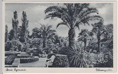 (5198) AK Bad Pyrmont, Kurpark, Palmengarten 1941