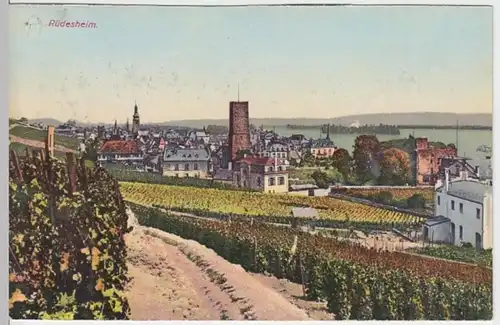 (5187) AK Rüdesheim am Rhein, Panorama, vor 1945